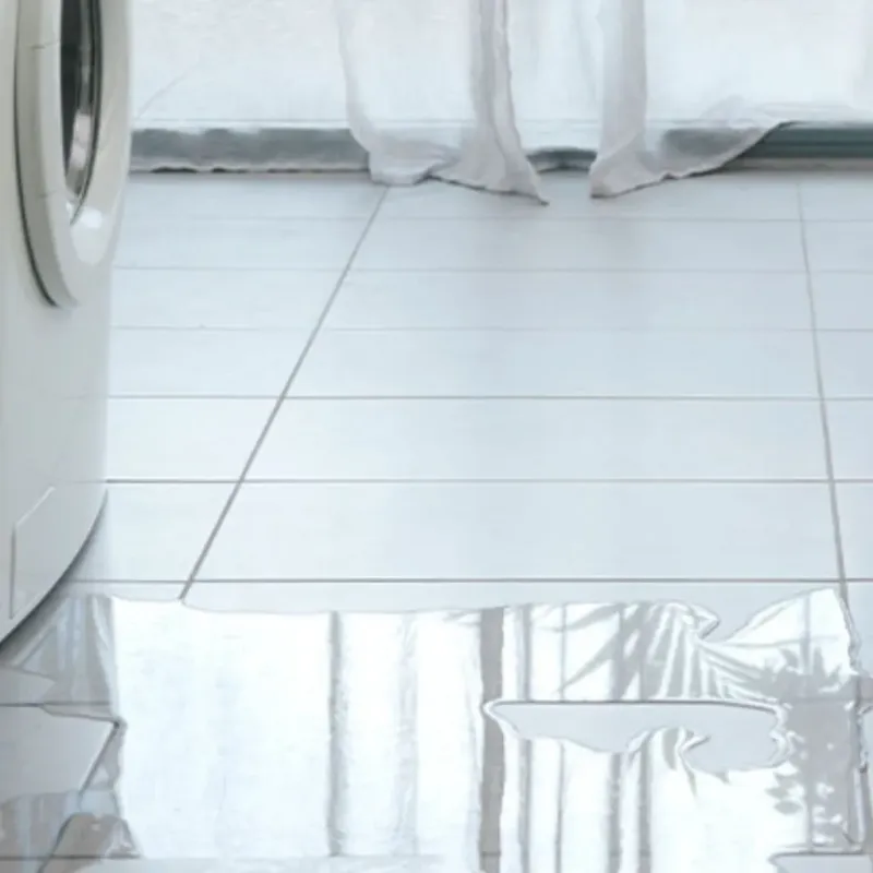 Appliance Leak Cleanup in Stockdale, TX