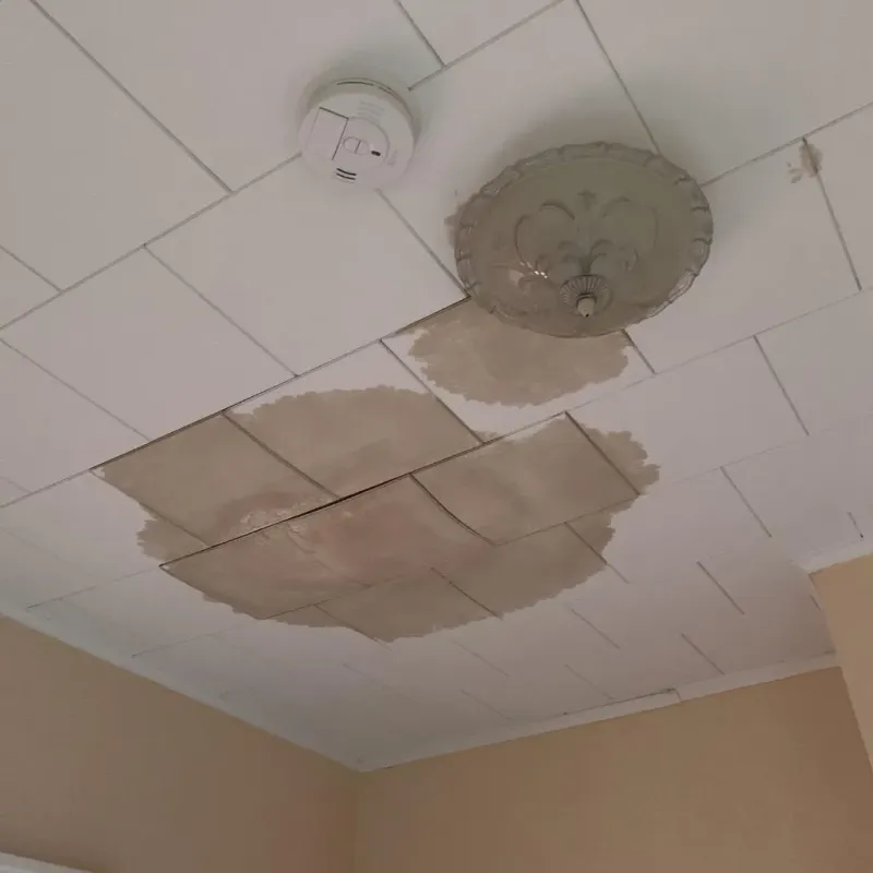 Ceiling Water Damage Repair in Stockdale, TX