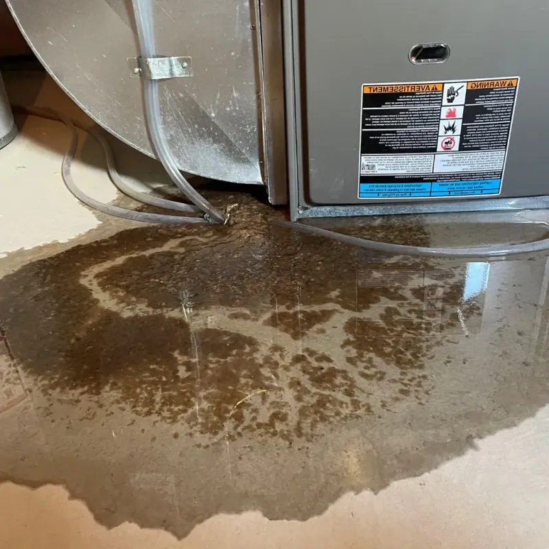 Pipe Burst and Leak Restoration in Stockdale, TX