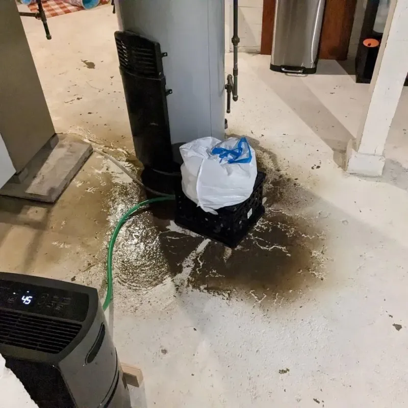 Sewage Backup Cleanup Service in Stockdale, TX